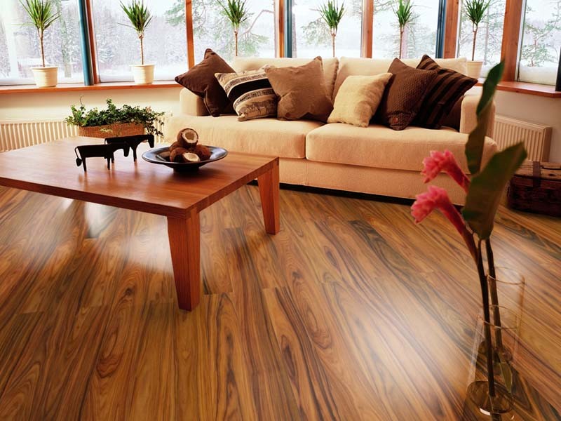 51漫画在线观看Par-ky进口地板，高科技定格珍木之美 搜索是