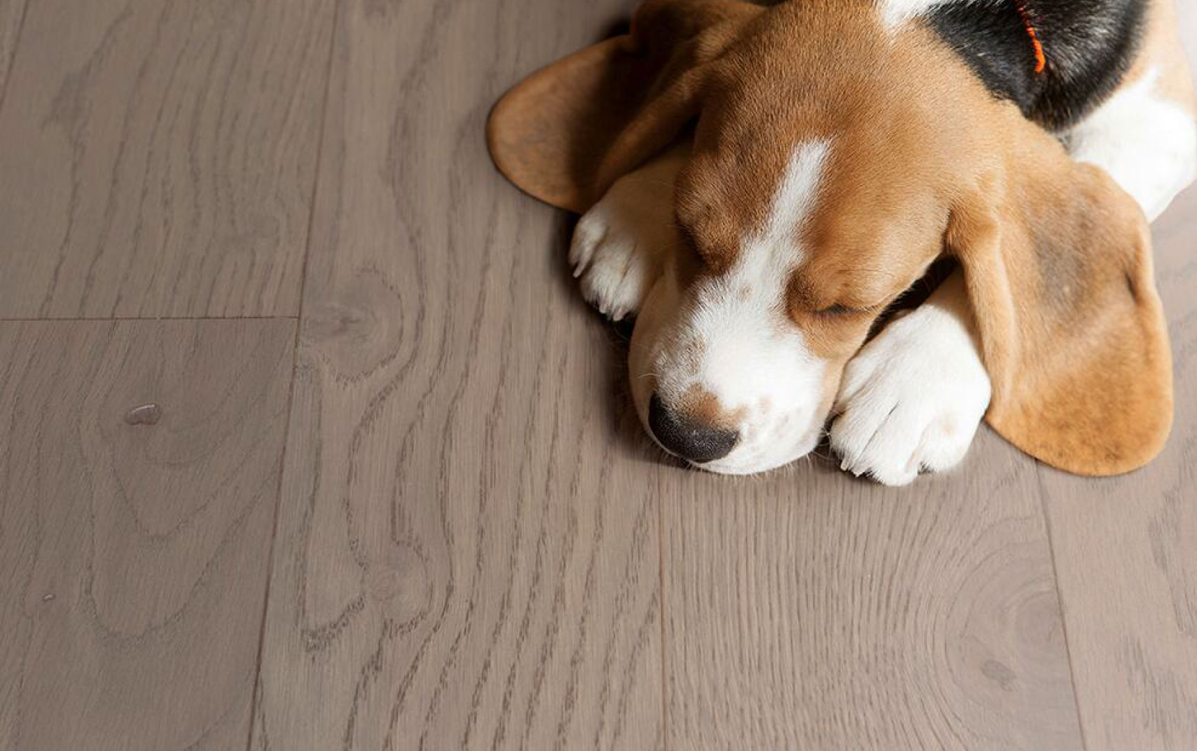 51漫画在线观看实木复合地板从“地”开始 图片24