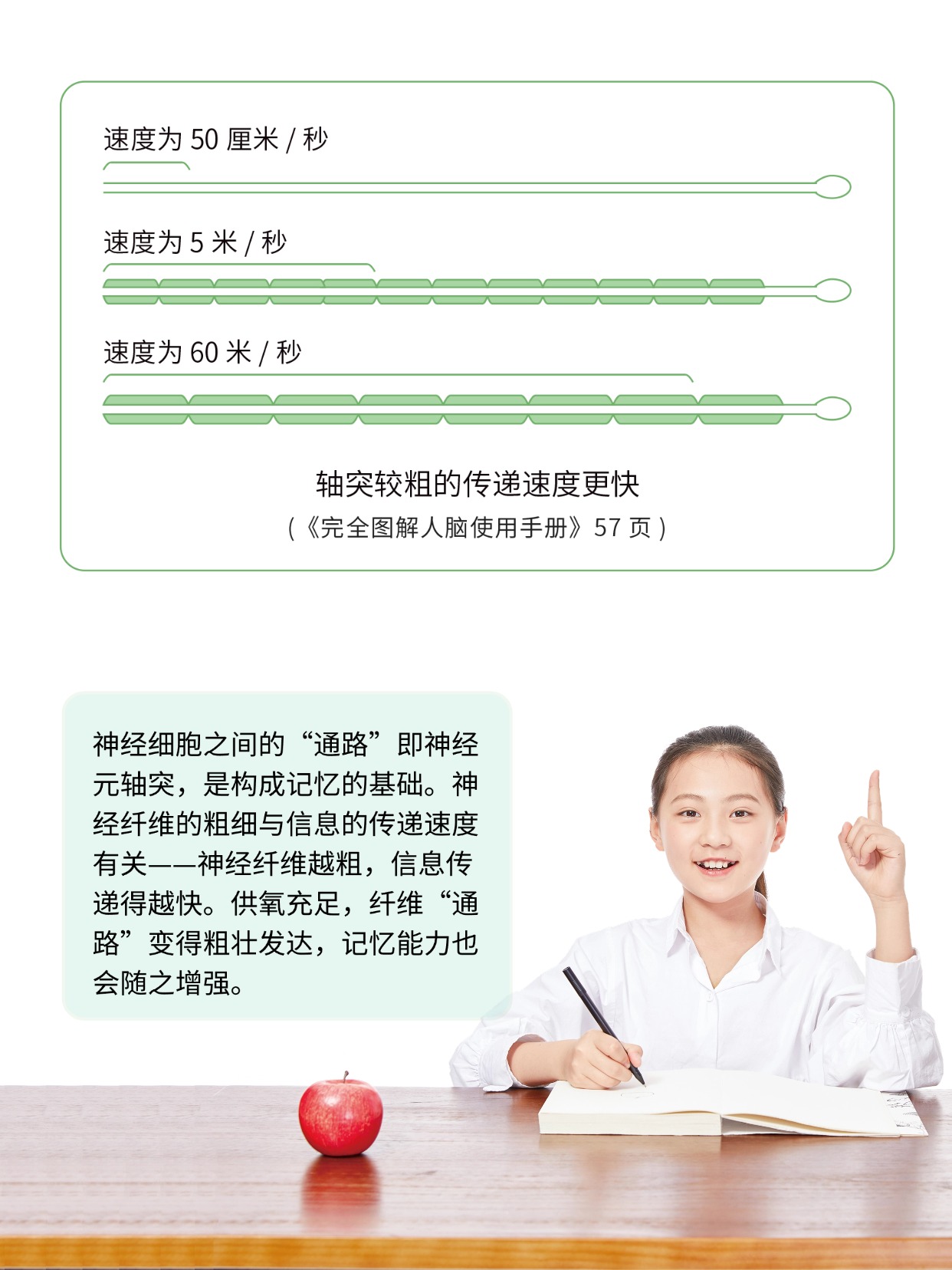 你听说过能补氧的桌子吗？有娃家庭直接抄作业 图片8